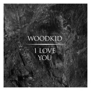 Tag(s): woodkid iron i love you the golden age run boy run; Uploaded: 2013-03-02 20:32:08 GMT; By: sroscarillo; Seeders: 20; Leechers: 0; Comments: 1