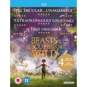 beasts of the southern wild dvdrip torrent