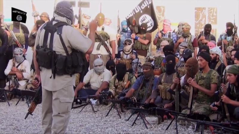PBS Frontline 2014 The Rise of ISIS 720p HDTV x264 AAC MVGroup org mp4 preview 4