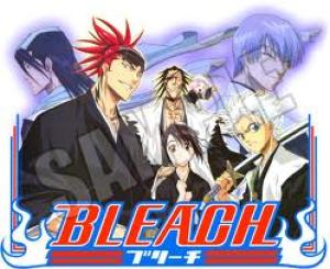 Bleach season 7(Ep 132-151English Dubbed (download torrent) - TPB