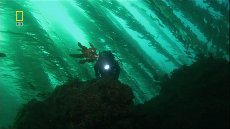 PBS Ocean Adventures Americas Underwater Treasures 2of2 720p HDTV x264 AC3 MVGroup Forum mkv preview 6