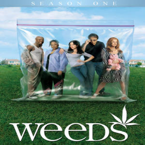 Weeds.S01.DVDRip.XviD-TRONDi (download torrent) - TPB