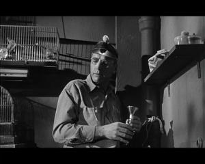 Birdman of Alcatraz 1962 PAL Hun DVD9 Jethro