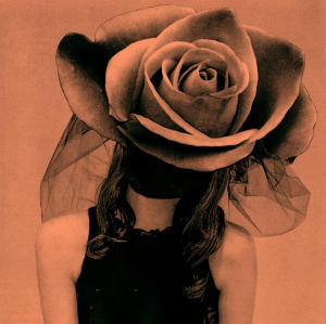 picture picture