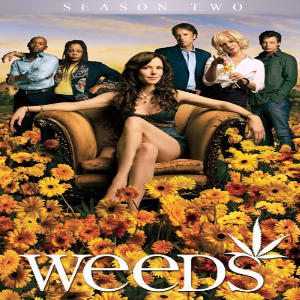 Weeds.S02.DVDRip.XviD-TRONDi (download torrent) - TPB