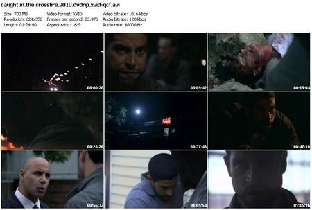 Caught in the Crossfire 2010 DVDRiP XviD-QCF [UsaBit com] preview 0