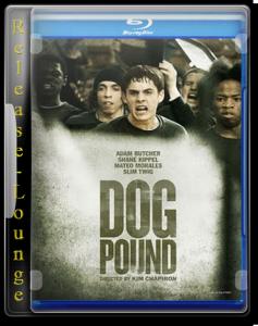 Dog Pound 2010 BRRip A Release-Lounge H264 (download torrent) - TPB