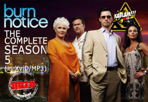 Burn Notice - Season 5 Complete HDTV (XviD/MP3) picture Burn Notice - Season 5 Complete HDTV (XviD/MP3) picture