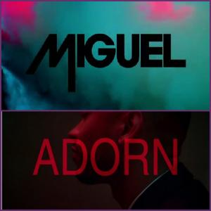 Miguel - Adorn 480p XviD [zecrom644]