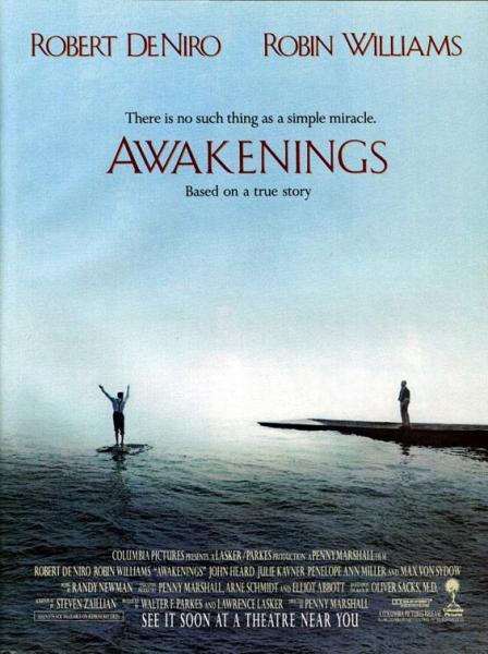 Awakenings 1990 MULTiSUBS PAL DVDR GAMY-2Lions-Team preview 0