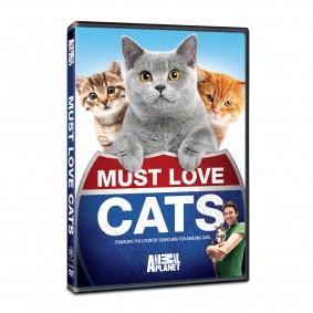 must love cats