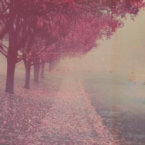 Various Artists - Samy's Indie Rock Playlist Autumn 2010 picture Various Artists - Samy's Indie Rock Playlist Autumn 2010 picture