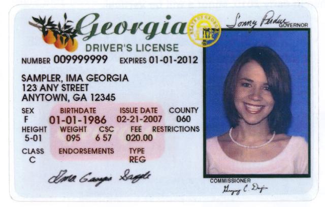 Georgia Driver